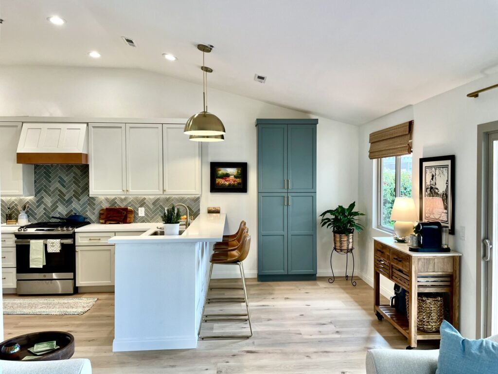 Pure White Transitional Cabinets